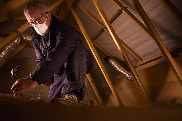 Best Insulation Contractor Near Me  in Whiteland, IN